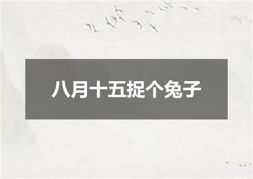 八月十五捉个兔子