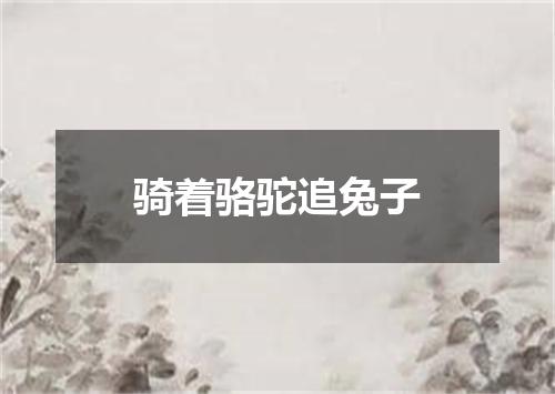 骑着骆驼追兔子