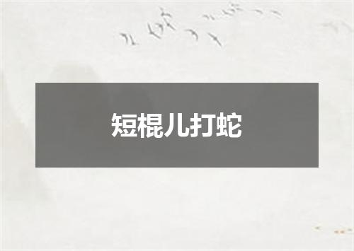 短棍儿打蛇