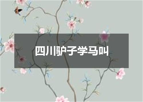 四川驴子学马叫