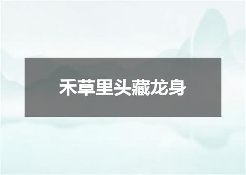 禾草里头藏龙身