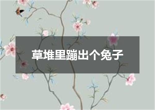 草堆里蹦出个兔子