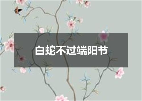 白蛇不过端阳节