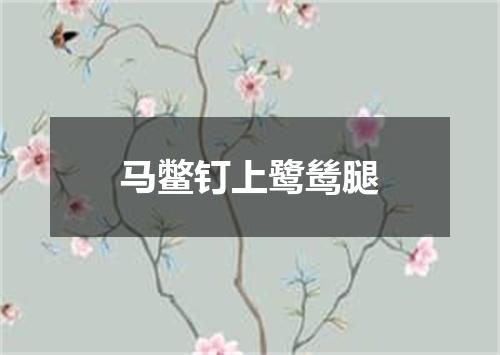 马鳖钉上鹭鸶腿