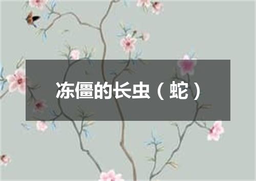 冻僵的长虫（蛇）