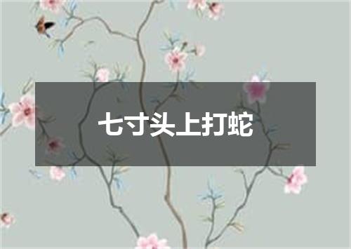 七寸头上打蛇