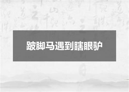跛脚马遇到瞎眼驴
