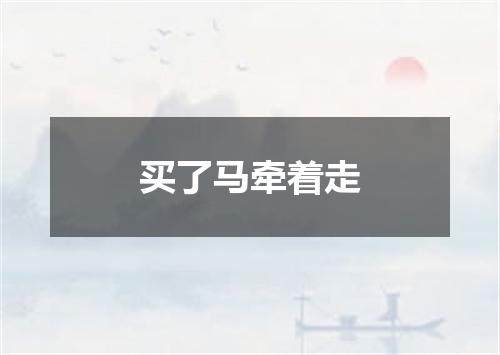 买了马牵着走