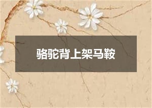 骆驼背上架马鞍