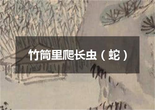 竹筒里爬长虫（蛇）