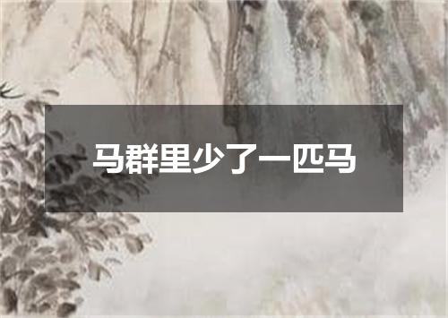 马群里少了一匹马