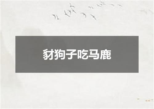 豺狗子吃马鹿