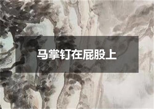 马掌钉在屁股上