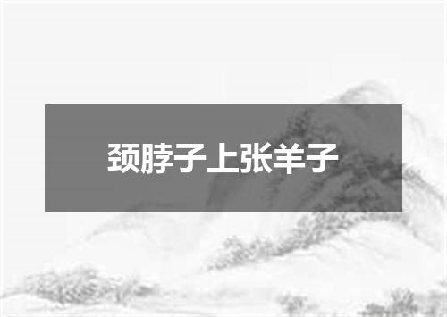 颈脖子上张羊子