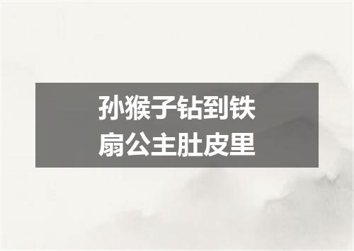 孙猴子钻到铁扇公主肚皮里