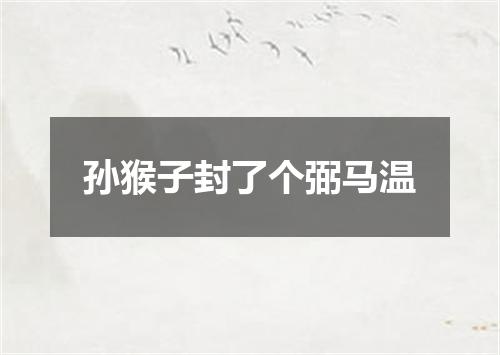 孙猴子封了个弼马温