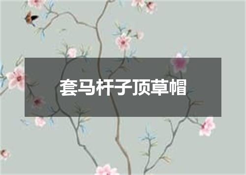 套马杆子顶草帽