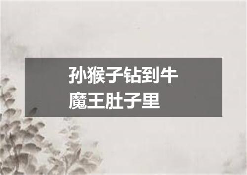 孙猴子钻到牛魔王肚子里