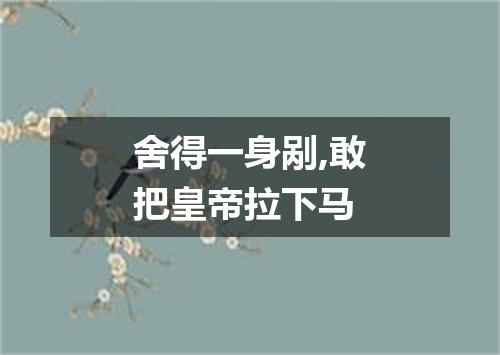 舍得一身剐,敢把皇帝拉下马
