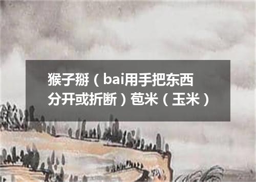 猴子掰（bai用手把东西分开或折断）苞米（玉米）