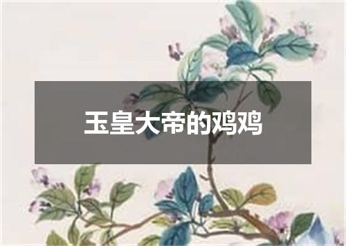玉皇大帝的鸡鸡