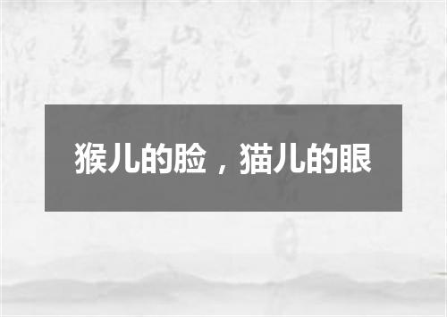 猴儿的脸，猫儿的眼