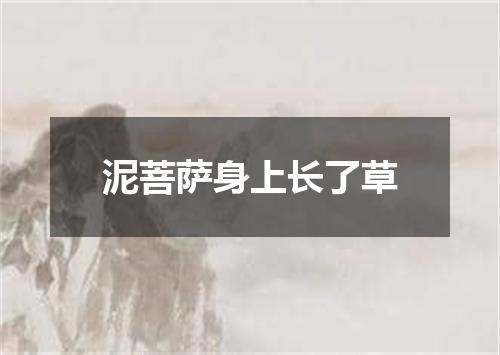 泥菩萨身上长了草