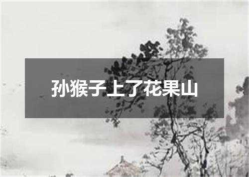 孙猴子上了花果山