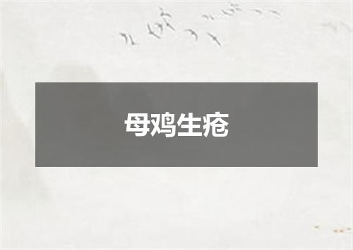 母鸡生疮