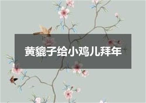 黄貔子给小鸡儿拜年