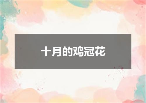十月的鸡冠花