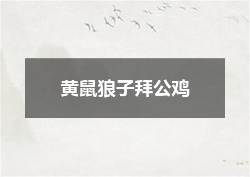 黄鼠狼子拜公鸡