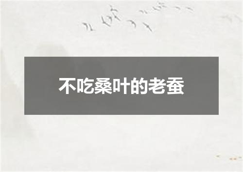 不吃桑叶的老蚕