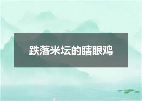 跌落米坛的瞎眼鸡