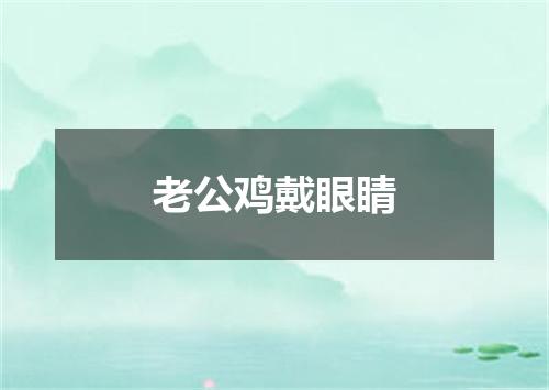 老公鸡戴眼睛