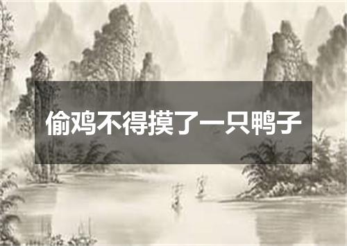 偷鸡不得摸了一只鸭子