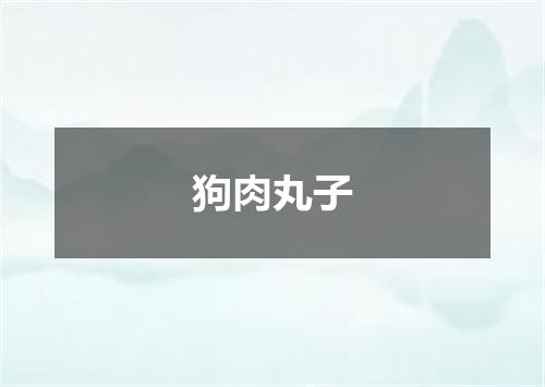 狗肉丸子