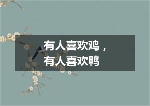 有人喜欢鸡，有人喜欢鸭