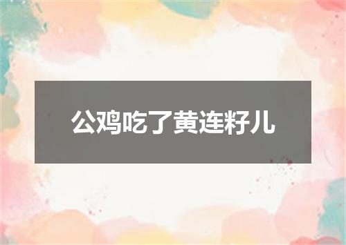 公鸡吃了黄连籽儿
