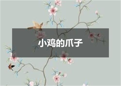 小鸡的爪子