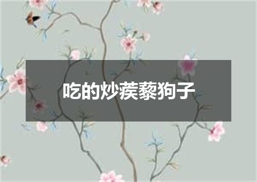 吃的炒蒺藜狗子