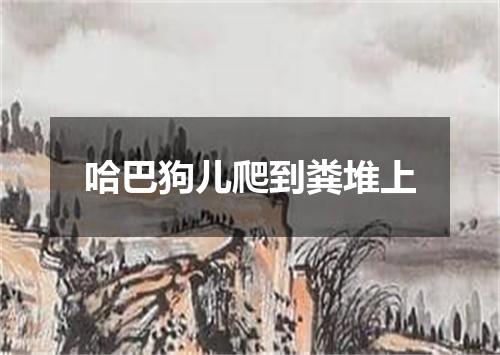 哈巴狗儿爬到粪堆上