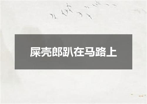 屎壳郎趴在马路上