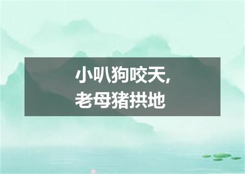 小叭狗咬天,老母猪拱地