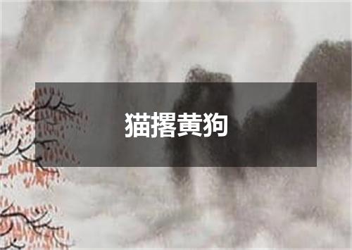 猫撂黄狗