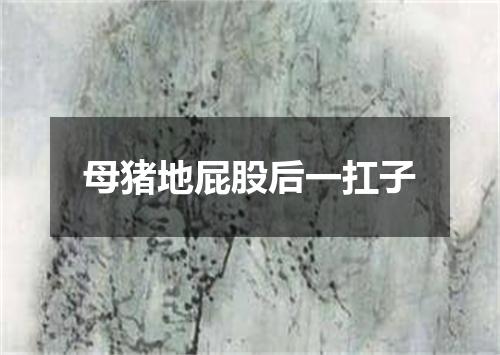 母猪地屁股后一扛子