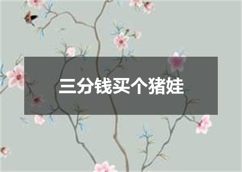 三分钱买个猪娃