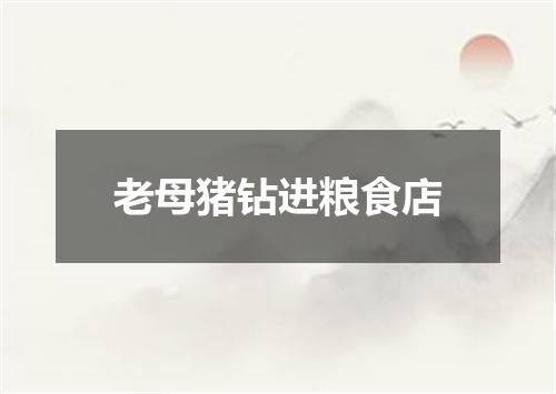 老母猪钻进粮食店