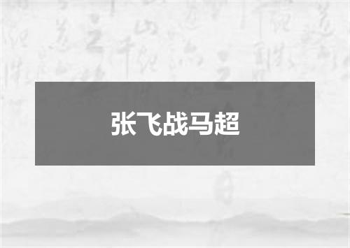 张飞战马超