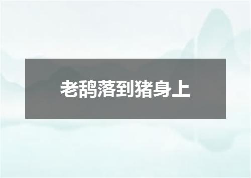老鸹落到猪身上